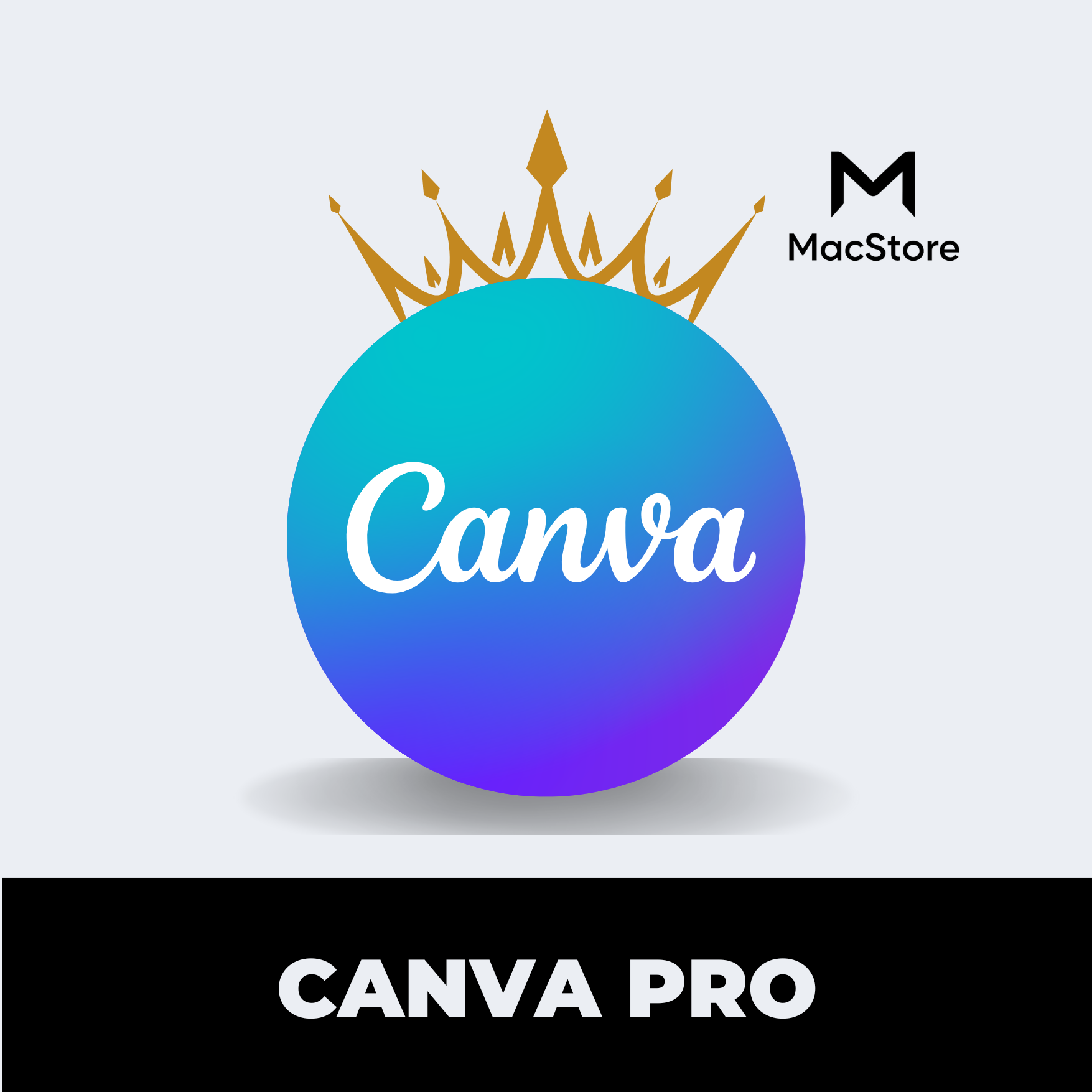 Logo Canva Pro