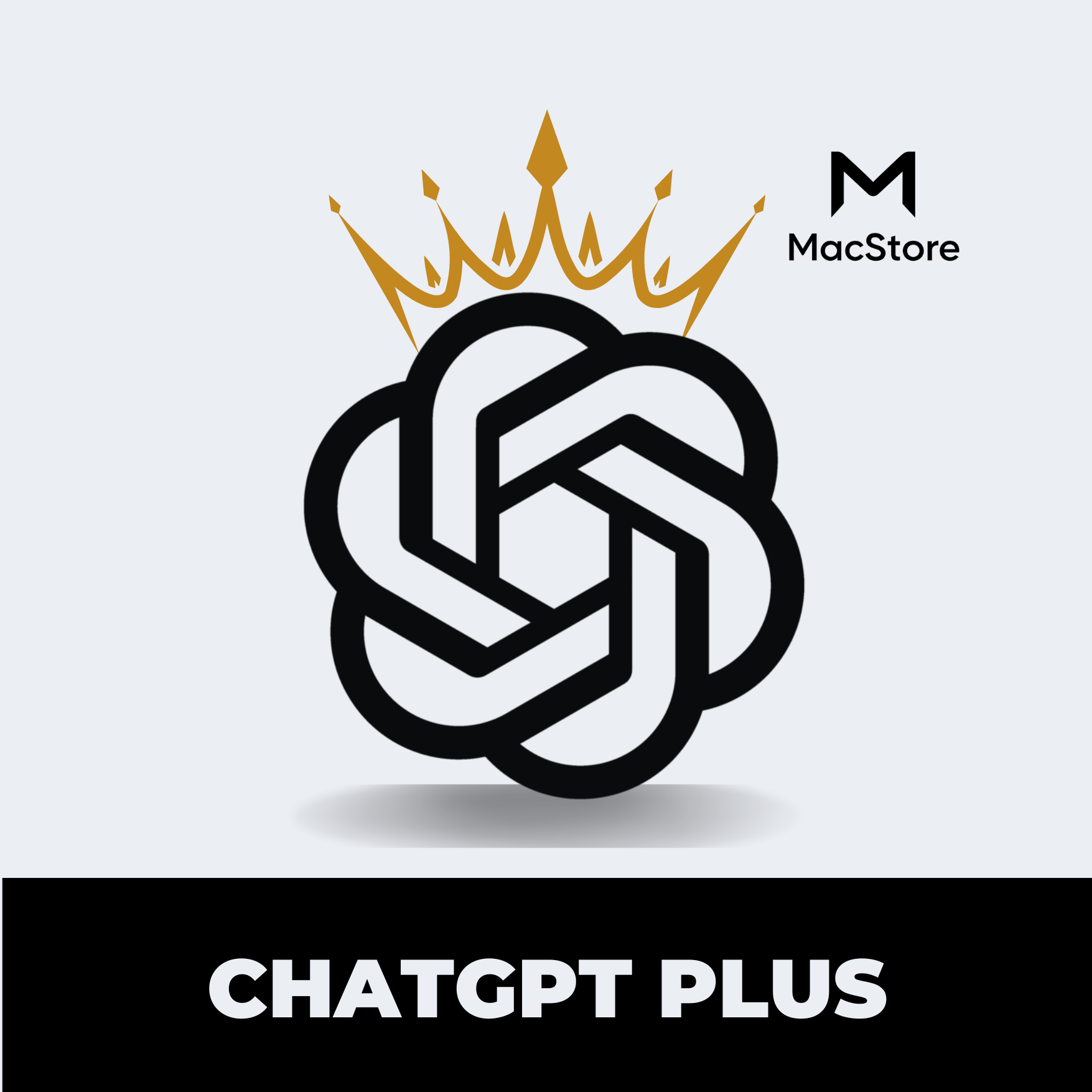 Logo ChatGPT Plus